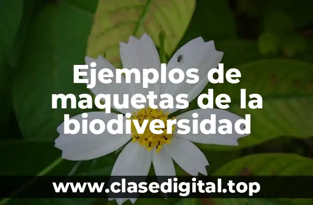 Ejemplos de maquetas de la biodiversidad