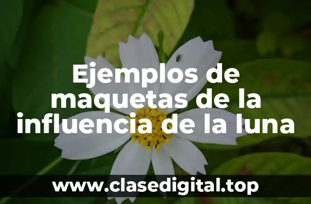 Ejemplos de maquetas de la influencia de la luna