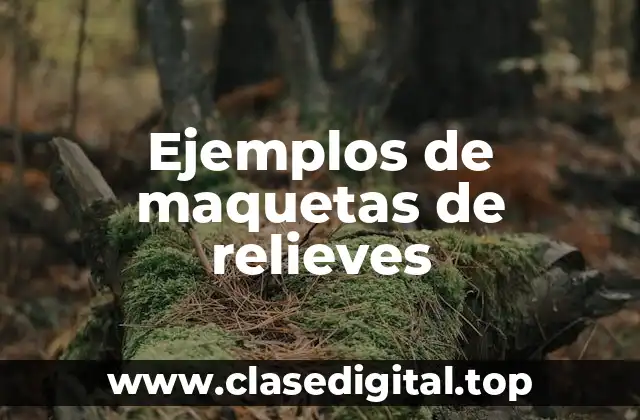Ejemplos de maquetas de relieves
