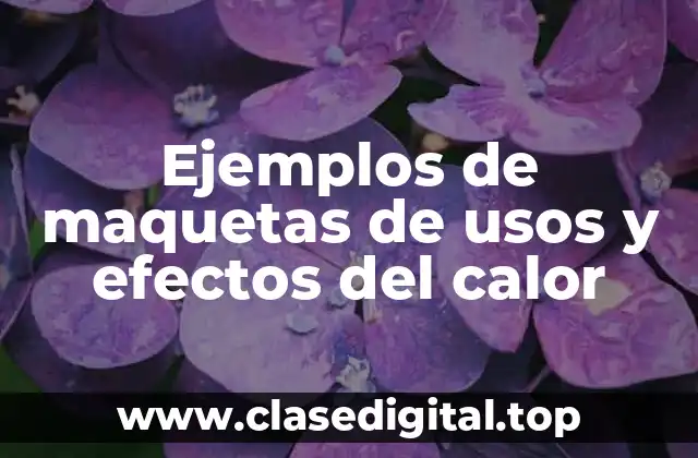 Ejemplos de maquetas de usos y efectos del calor