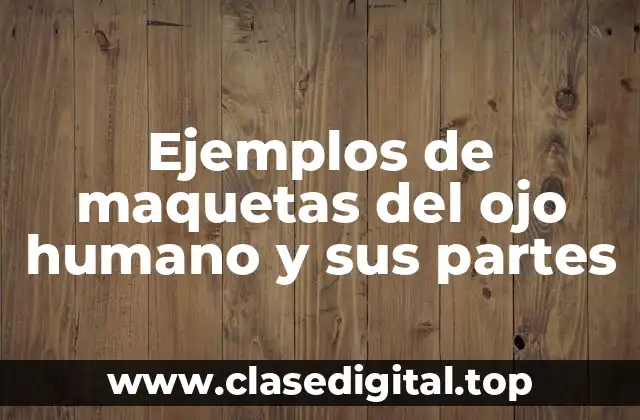 Ejemplos de maquetas del ojo humano y sus partes