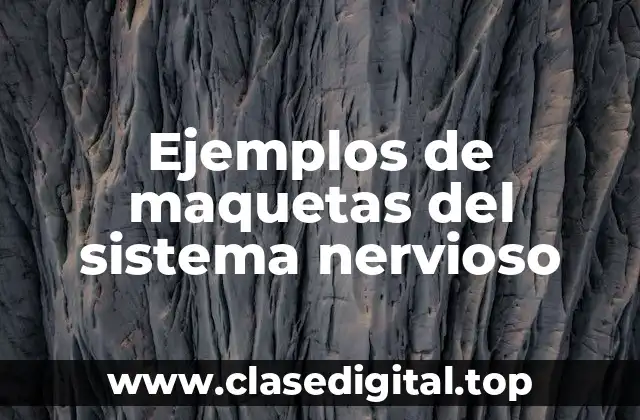 Ejemplos de maquetas del sistema nervioso