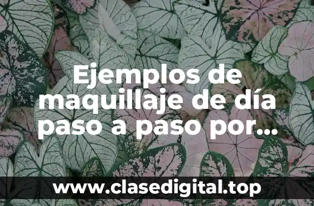 Ejemplos de maquillaje de día paso a paso por escrito