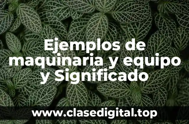 Ejemplos de maquinaria y equipo