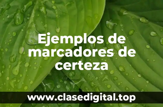 Ejemplos de marcadores de certeza