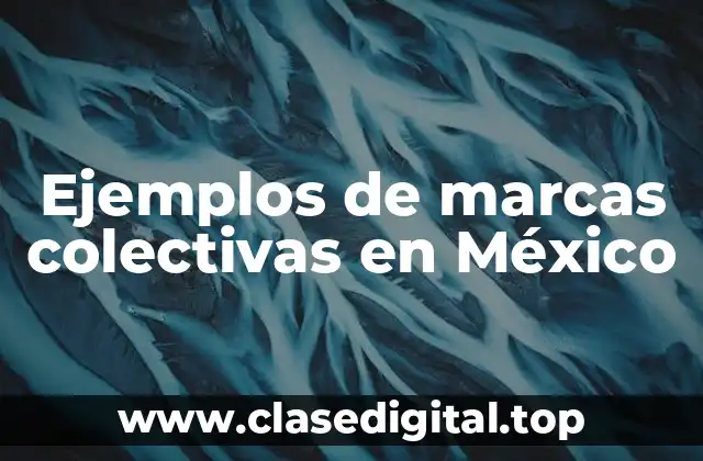 Ejemplos de marcas colectivas en México