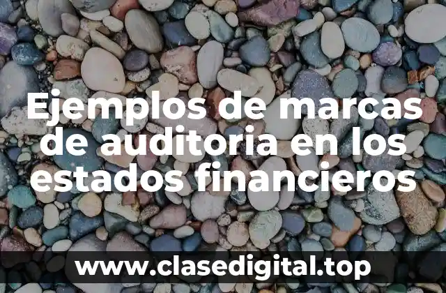 Ejemplos de marcas de auditoria en los estados financieros
