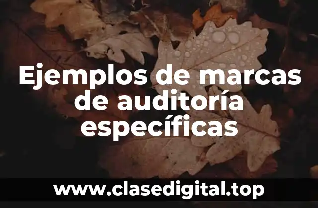 Ejemplos de marcas de auditoría específicas