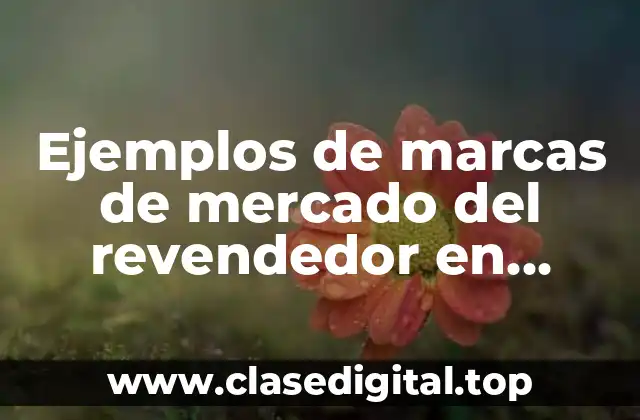 Ejemplos de marcas de mercado del revendedor en México