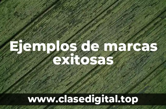 Ejemplos de marcas exitosas