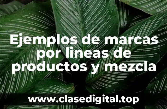 Ejemplos de marcas por lineas de productos y mezcla