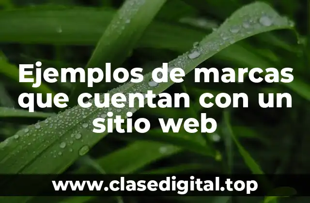 Ejemplos de marcas que cuentan con un sitio web