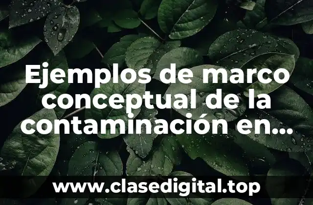 Ejemplos de marco conceptual de la contaminación en Morelia