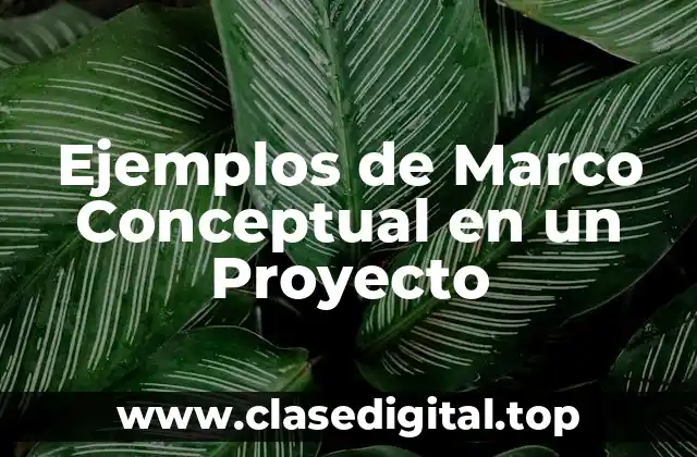 Ejemplos de Marco Conceptual en un Proyecto