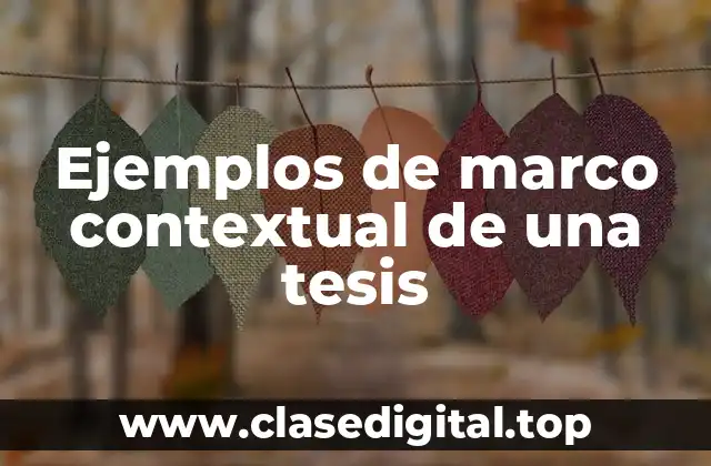Ejemplos de marco contextual de una tesis