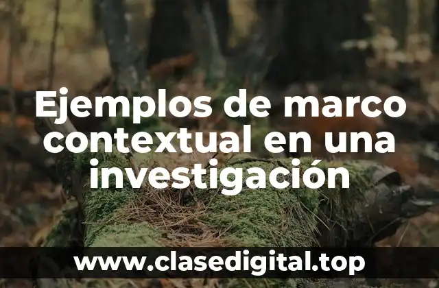 Ejemplos de marco contextual en una investigación