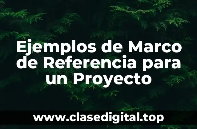 Ejemplos de Marco de Referencia para un Proyecto
