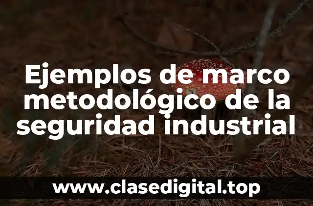 Ejemplos de marco metodológico de la seguridad industrial