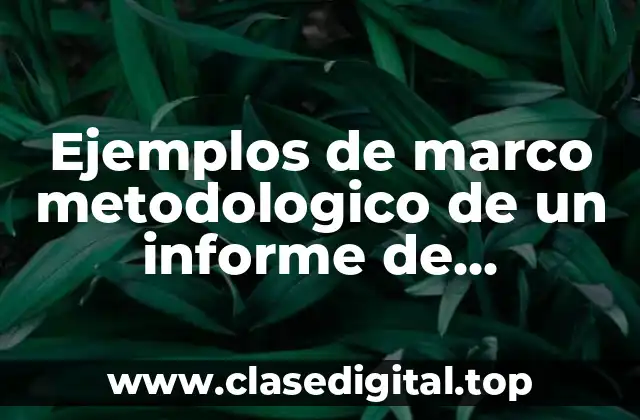 Ejemplos de marco metodologico de un informe de investigación