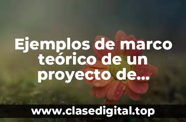 Ejemplos de marco teórico de un proyecto de metodología