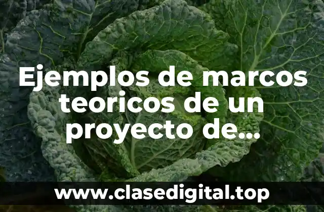 Ejemplos de marcos teoricos de un proyecto de exportacion y Significado