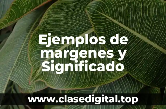 Ejemplos de margenes