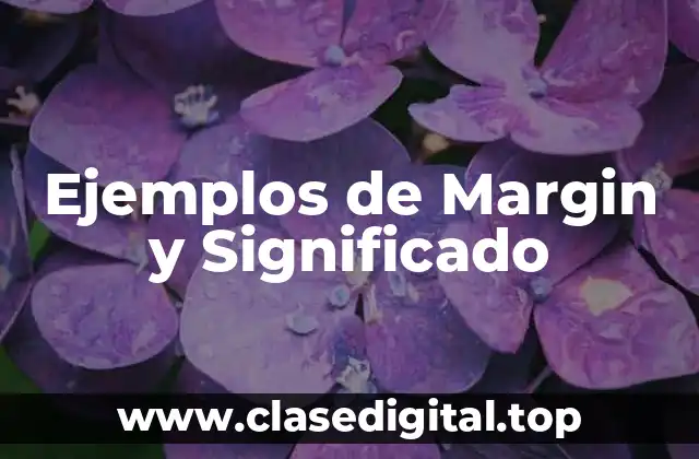 Ejemplos de Margin y Significado