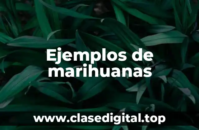 Ejemplos de marihuanas
