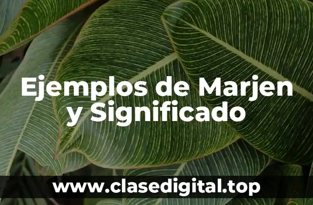 Ejemplos de Marjen y Significado