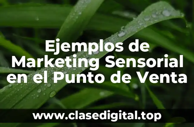 Ejemplos de Marketing Sensorial en el Punto de Venta