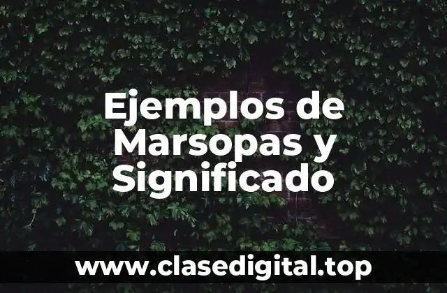 Ejemplos de Marsopas y Significado