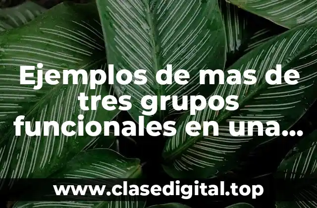 Ejemplos de moléculas con más de tres grupos funcionales