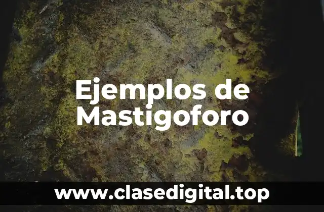 Ejemplos de Mastigoforo