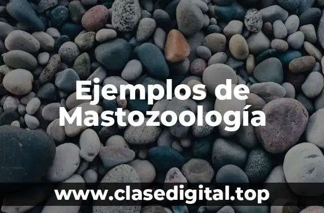 Ejemplos de Mastozoología
