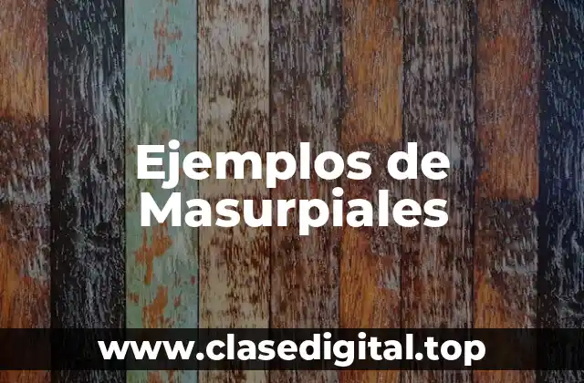 Ejemplos de Masurpiales