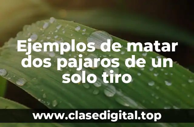 Ejemplos de matar dos pajaros de un solo tiro