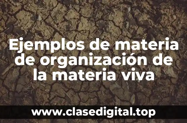 Ejemplos de materia de organización de la materia viva