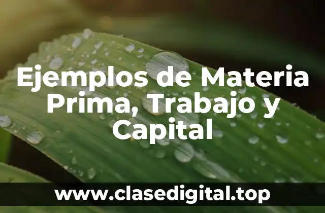 Ejemplos de Materia Prima, Trabajo y Capital