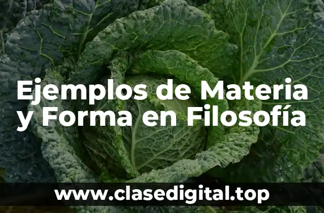 Ejemplos de Materia y Forma en Filosofía