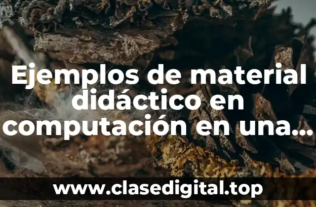Ejemplos de material didáctico en computación en una primaria
