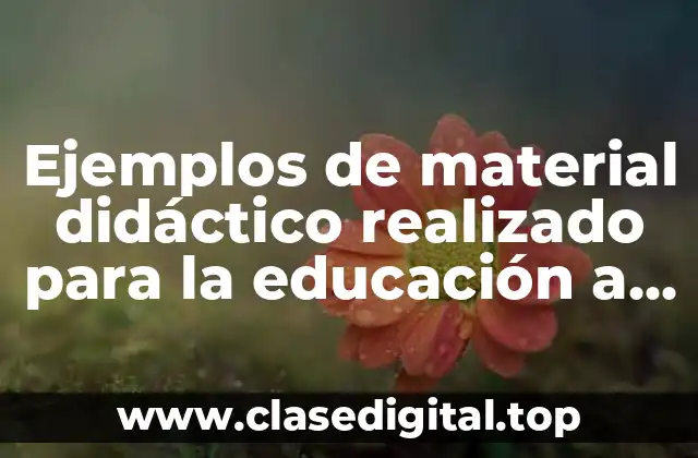 Ejemplos de material didáctico realizado para la educación a distancia
