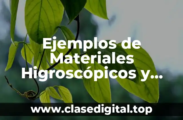 Ejemplos de Materiales Higroscópicos y Significado