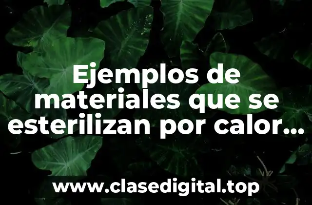 Ejemplos de materiales que se esterilizan por calor seco y Significado