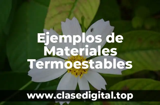 Ejemplos de Materiales Termoestables