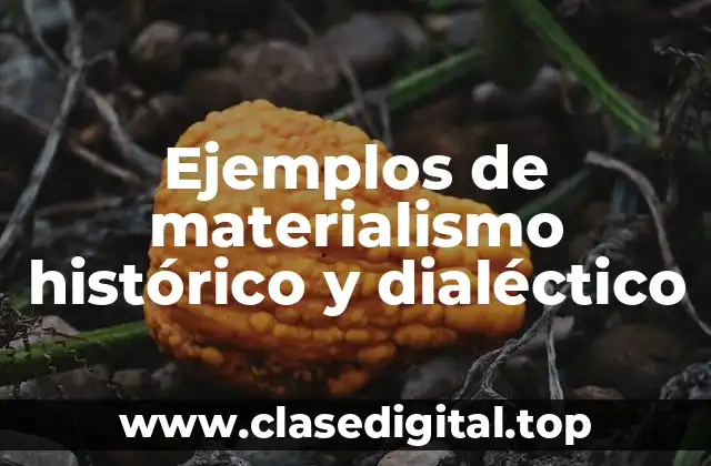 Ejemplos de materialismo histórico y dialéctico
