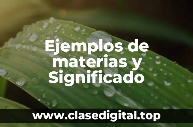 Ejemplos de materias y Significado