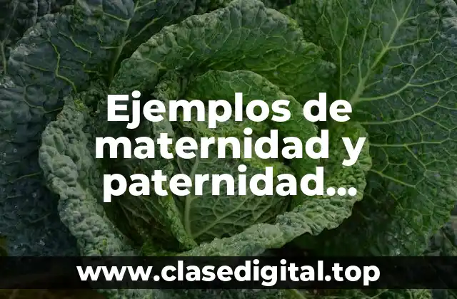 Ejemplos de maternidad y paternidad responsable
