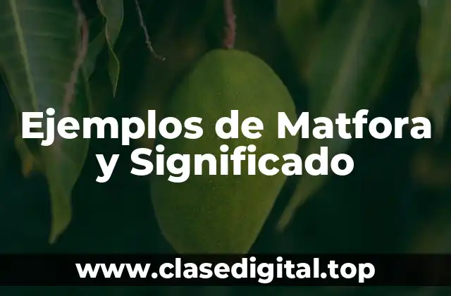 Ejemplos de Matfora y Significado