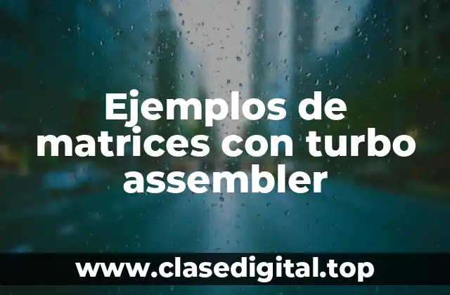 Ejemplos de matrices con turbo assembler