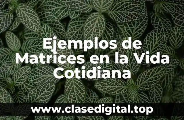 Ejemplos de Matrices en la Vida Cotidiana
